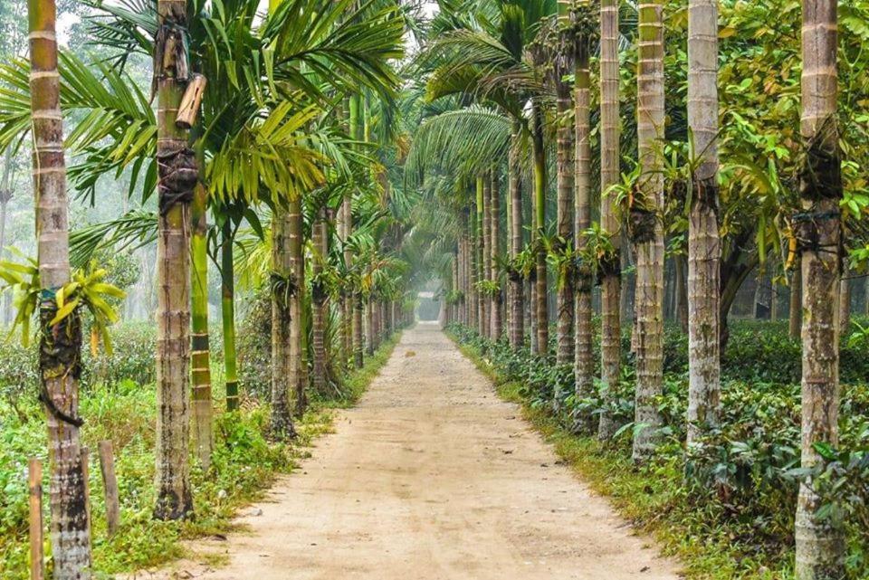 Kanoka Village Resort Majbat Bagian luar foto